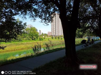 IMG_20210813_113725_0  1+