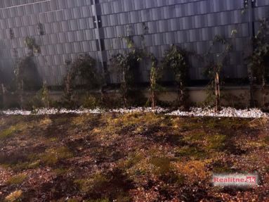 6BA83CD0-E183-49ED-BD27-9B854DA8EAAE