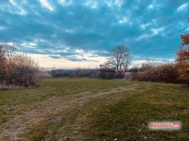 Lúka Malé Leváre, 26 385 m² pri Morave