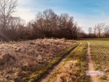 photo_42_2024-03-01_04-21-00