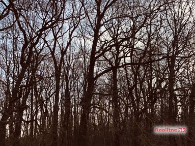 photo_8_2024-03-01_04-20-54