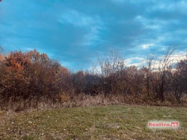 photo_90_2025-11-12_20-30-29