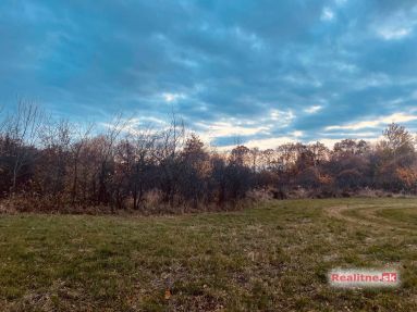 photo_91_2025-11-12_20-30-29