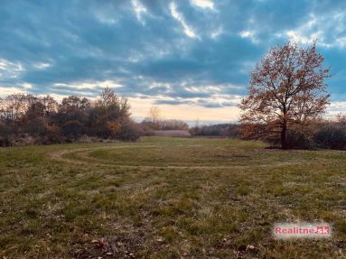 photo_92_2025-11-12_20-30-29