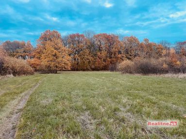 Pozemok - Lúka, Malé Leváre, 26 385 m²