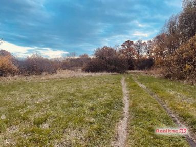 photo_96_2025-11-12_20-30-29