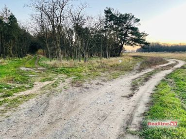 photo_20_2025-11-12_20-31-55