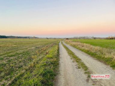 photo_21_2025-11-12_20-31-55