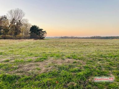 photo_24_2025-11-12_20-31-55