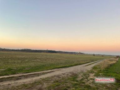 photo_34_2025-11-12_20-31-55