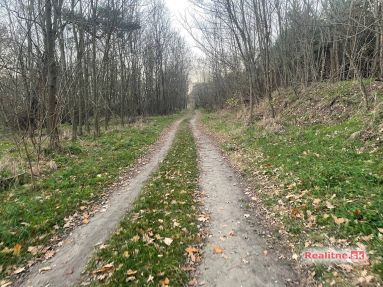 photo_44_2025-11-12_20-31-55