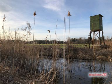photo_62_2024-03-01_04-13-47