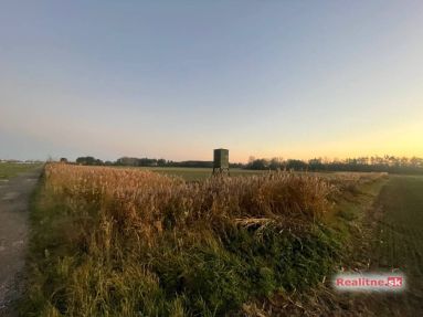 photo_84_2025-11-12_20-31-33