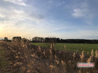 photo_87_2024-03-01_04-13-47