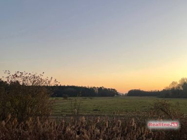 photo_96_2025-11-12_20-31-33